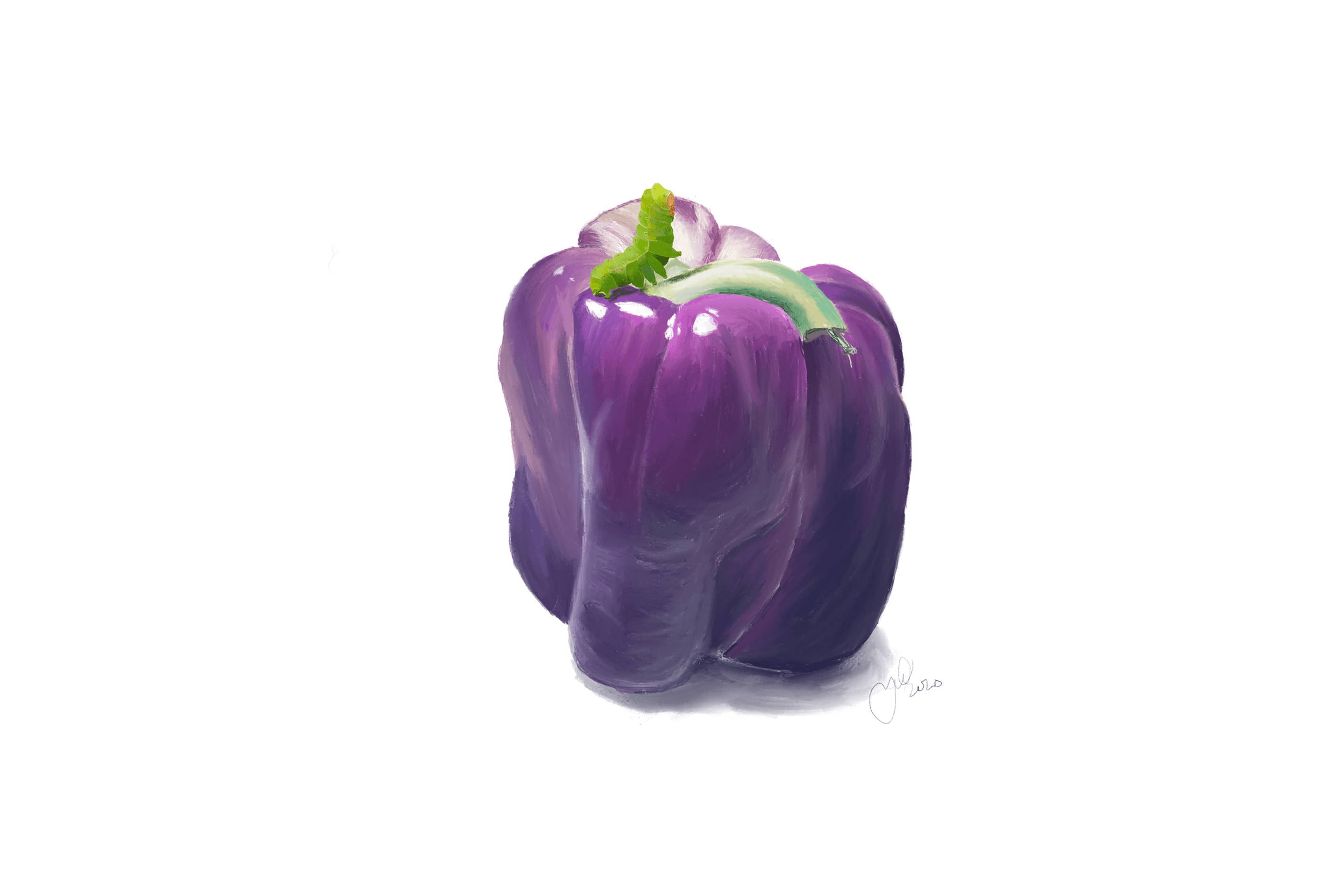 003 Purple Pepper Tapping G 1808300