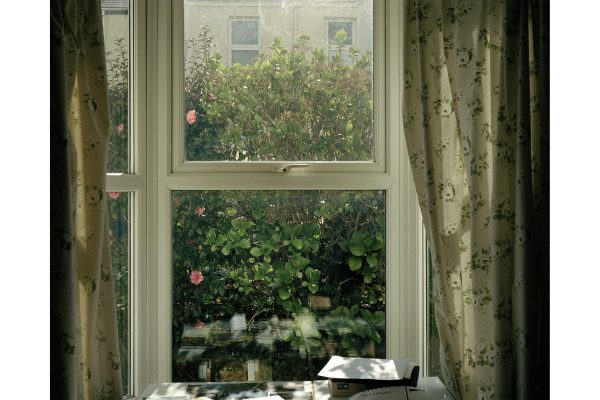 Spring Window 2.jpg