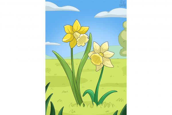 Daffodils Freya V Steele Showreel.jpg